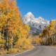 Jackson Hole in the fall