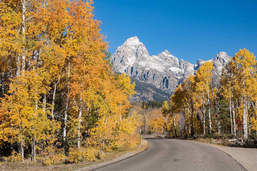 Jackson Hole in the fall