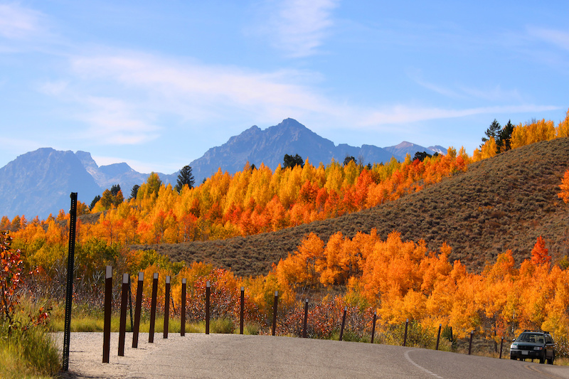Grand Tetons in the Fall