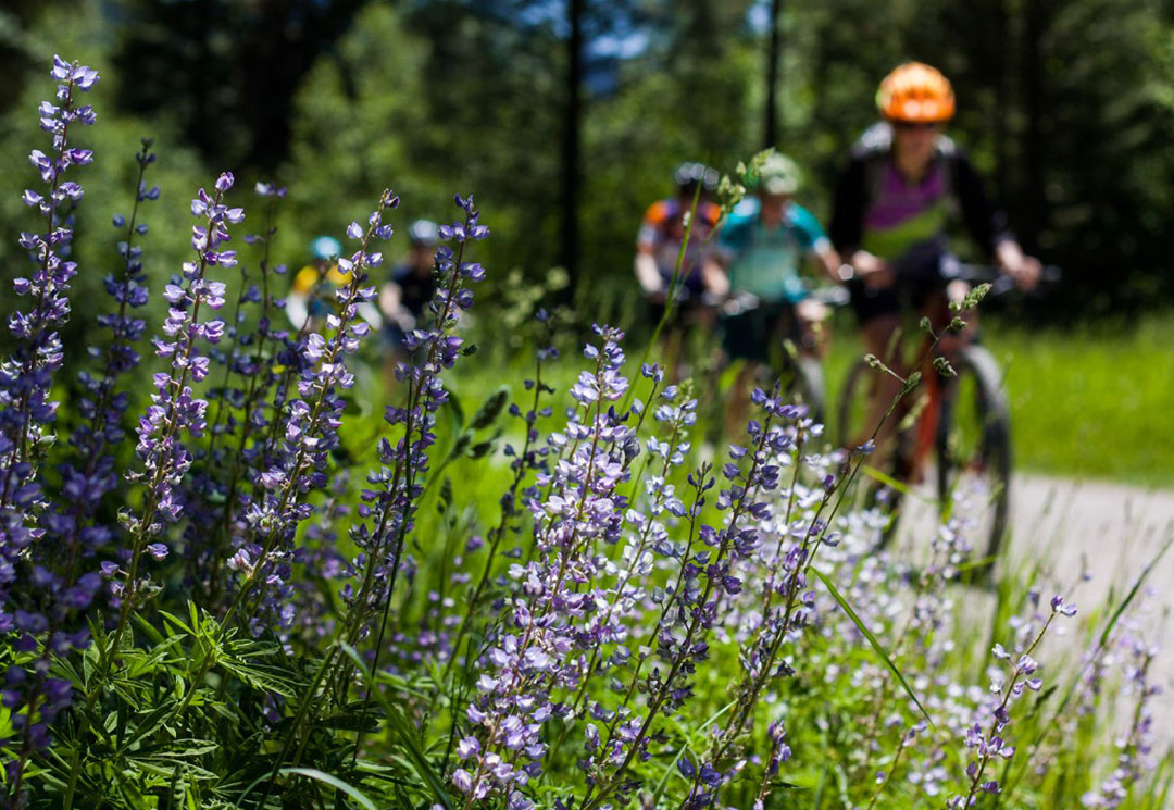 mountain biking